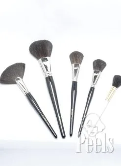 Grimas Poeder Borstels