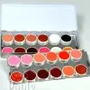 Kryolan Lip Rouge Palette 24 Kleuren Classic -Make-up Winkel kryolan lip rouge palette 24 kleuren classic